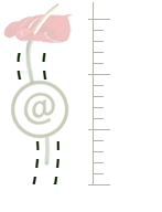 agence strategie communication internet