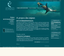 Développement durable site internet 1